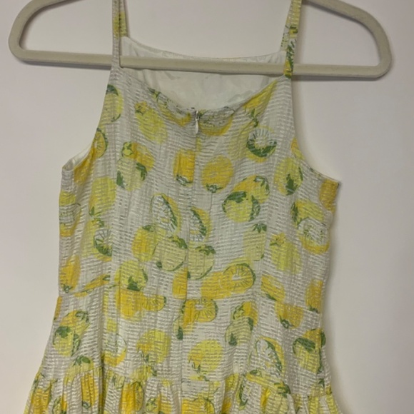 Lemon print dress Ann Taylor SZ 4 sheer banded waist retro full skirt whimsical - Picture 4 of 12